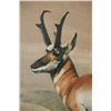 Image 7 : Charles Frace (1926-2005) Lim. Ed. Pronghorn Print