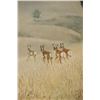 Image 8 : Charles Frace (1926-2005) Lim. Ed. Pronghorn Print