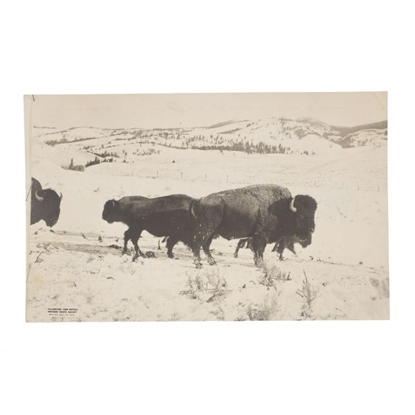 William Bull 1878-1942 Northern Pacific Rail Menu