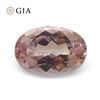 Image 1 : Pretty GIA Certified 1.16 Ct Natural Topaz