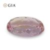 Image 4 : Pretty GIA Certified 1.16 Ct Natural Topaz