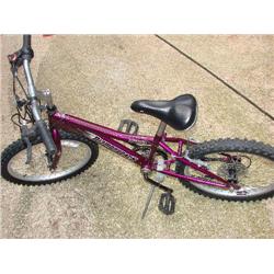 Youth Diamondback recoil 20" 6 speed bike