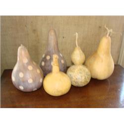 5 wonderful gourds