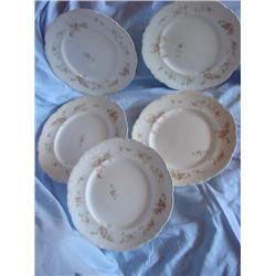 5 Meakin Princeton Plates