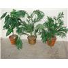 Image 1 : 3 silk plants in pots