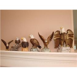 6 Eagles
