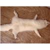 Image 1 : White Fox Pelt