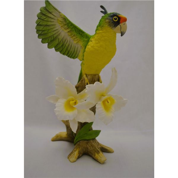 Boehm Porcelain Orange-fronted Parakeet With White Orchids,1982