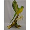 Image 4 : Boehm Porcelain Orange-fronted Parakeet With White Orchids,1982