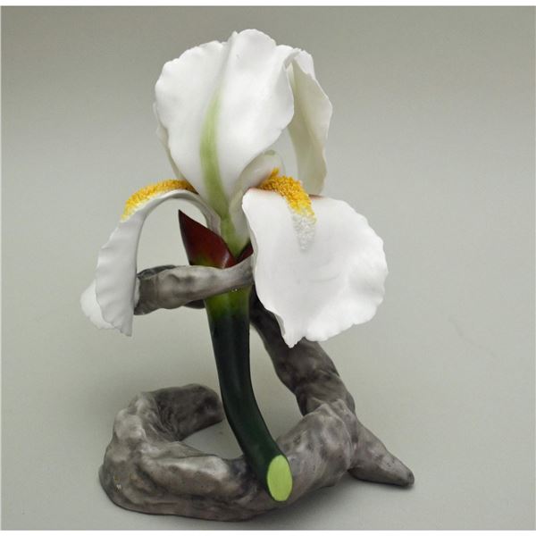 Boehm Porcelain Pontiff Iris Floral Sculpture, 1982