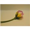 Image 2 : Connoisseur Porcelain Single Pink Rose Bud Prototype Model, AP