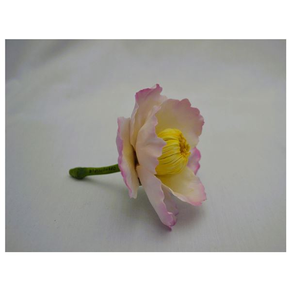 Connoisseur Porcelain Pink Floral Prototype Model, AP