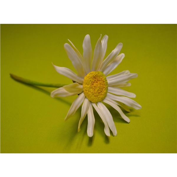 Connoisseur Porcelain White Daisy Floral Prototype Model, AP