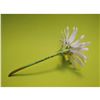 Image 3 : Connoisseur Porcelain White Daisy Floral Prototype Model, AP