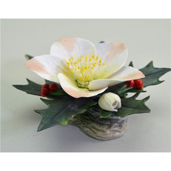 Connoisseur Porcelain Of Malvern, UK, Christmas Rose Sculpture, 1990