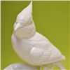 Image 4 : Connoisseur Porcelain Cardinal Bird Model Sculpture Prototype, AP