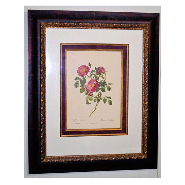 P.J. ReDoute' Rosa Lium Rosier d'Amour HC Engraving, Ornate Frame, C. 1860.