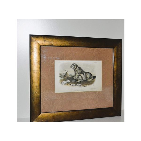 J.W. Audubon Original HC Engraving, Esquimaux Dogs, C. 1890, Custom Frame