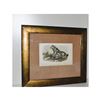 Image 1 : J.W. Audubon Original HC Engraving, Esquimaux Dogs, C. 1890, Custom Frame