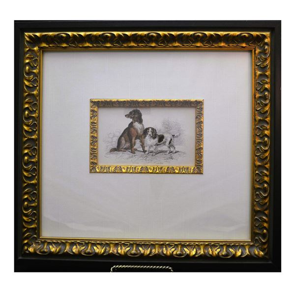 Lizars Original Hand Colored Engraving Cocker & Setter Dogs, 1840