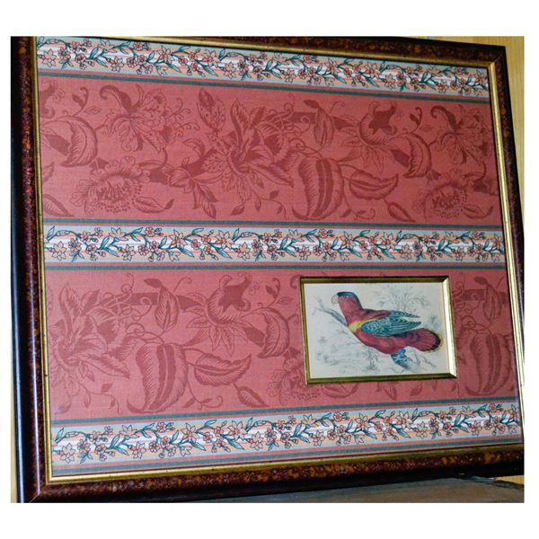 W.H. Lizars Lorius Domicellus H. Colored Engraving, 1840s, W/Frame