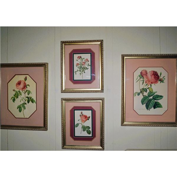 4Pc ReDoute' Rose Floral Prints, W/Custom Frames