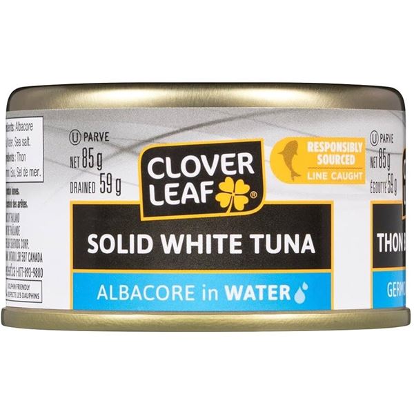 NEW 24 X 85G CLOVER LEAF SOLID WHITE TUNA