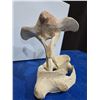 Image 2 : Whale Bone Eagle Soaring Hand Carved Piece 6"T
