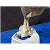 Image 9 : Whale Bone Eagle Soaring Hand Carved Piece 6"T