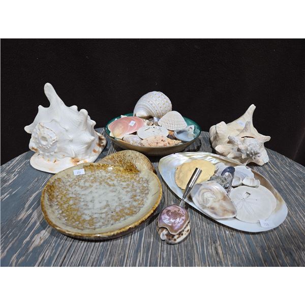 Seashells Galore: All Different Sizes/Shapes + Shell Pen Holder & Ashtray