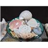 Image 4 : Seashells Galore: All Different Sizes/Shapes + Shell Pen Holder & Ashtray
