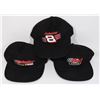 Image 1 : 3 COLLECTIBLE BUDWEISER NASCAR HATS