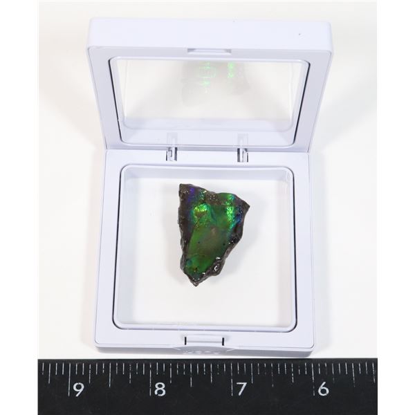 AMMOLITE GEMSTONE IN FLOATING DISPLAY CASE