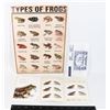 Image 1 : CANADA ENDANGERED FROGS COLLECTORS EDITION STAMP