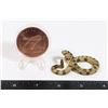 Image 1 : 1-OZ 999 DON'T TREAD ON ME COPPER ROUND IN CAPSULE