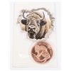 Image 1 : 1-OZ FINE BUFFALO COPPER ROUND IN CAPSULE