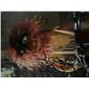 Image 1 : The Muppets Frank Oz signed photo