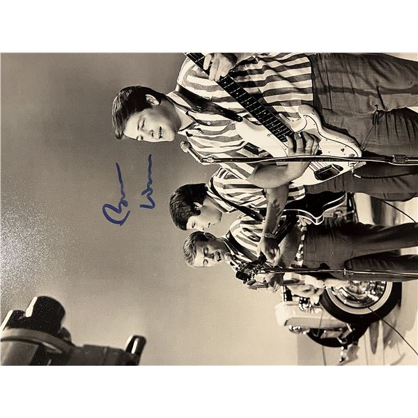 The Beach Boys Brian Wilson signed photo
