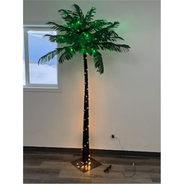 Palm Tree