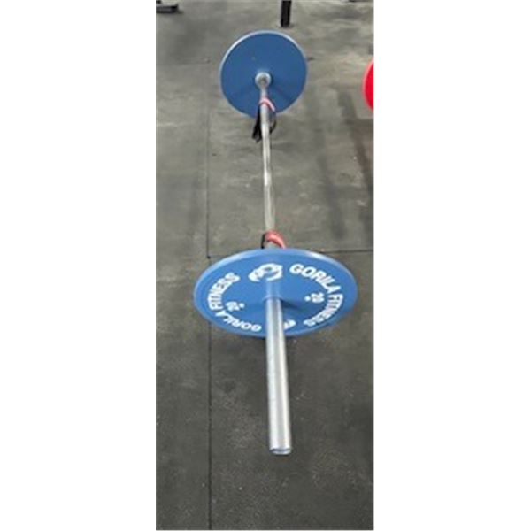 Weight bar with 2 20lb weights - blue