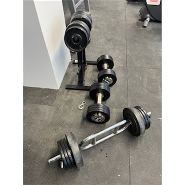 Various bar bells and weights