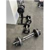 Image 1 : Various bar bells and weights