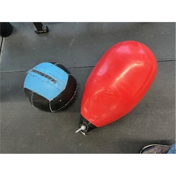 Medicine ball and bag