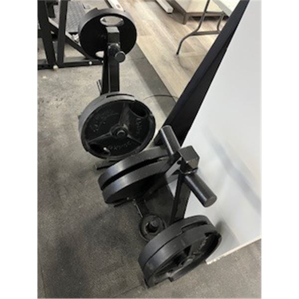 Weight Stand w 45/35/10 lb weights