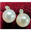 Image 2 : 14K Yellow Gold Pearl 5.5Mm And Diamond 0.02Ct Earrings, Made in Canada, Suggested Retail Value $240