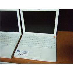 Apple  1 Notebook  700 Mhz, G3, 384 Ram, 20g HD