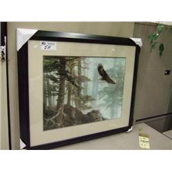 bald Eagle Print