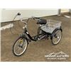 Image 1 : TRICYCLE