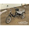 Image 1 : TRICYCLE