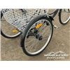 Image 7 : TRICYCLE